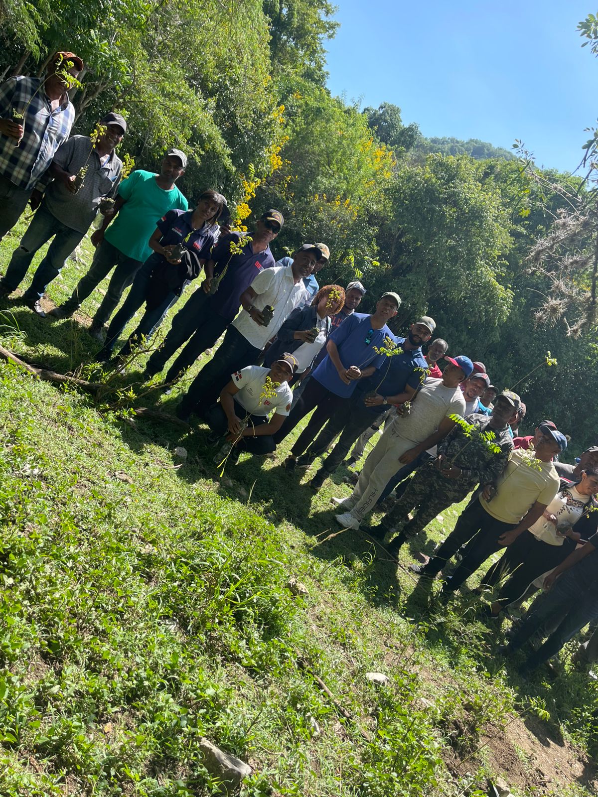 Gran Jornada de Reforestación en la cuenca del Salto de Babor